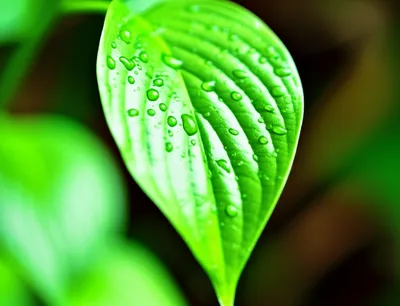 Illustration refreshed