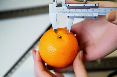 Illustration measurements