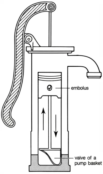 Illustration suckers - Image 1