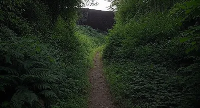 Illustration heuristics - Image 1