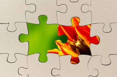 Illustration panned - Image 1