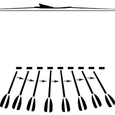 Illustration feather - Image 1
