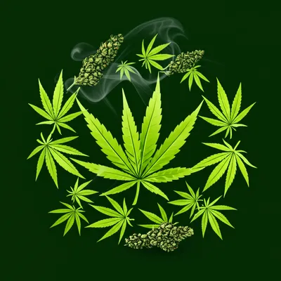 Illustration marijuana