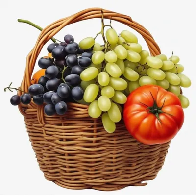 Illustration bunching - Image 1