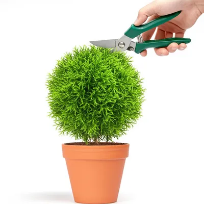 Illustration heading - Image 1