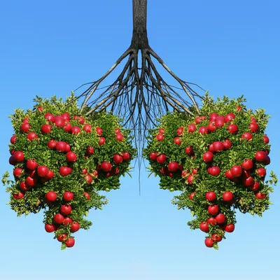 Illustration inverse - Image 1