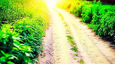 Illustration runs - Image 1