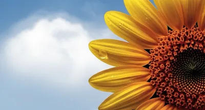 Illustration bit - Image 1