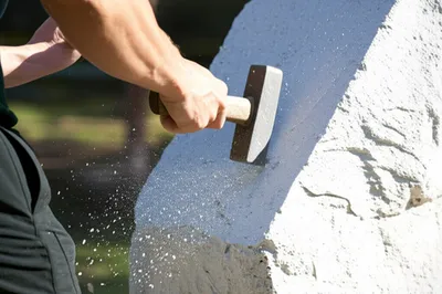 Illustration lob - Image 1