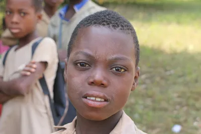 Illustration scholastics - Image 2