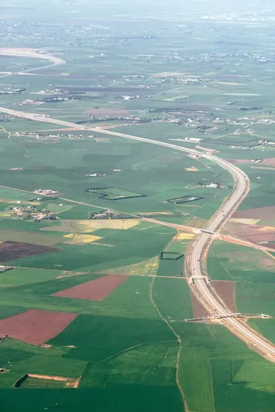 Illustration serpentine - Image 2