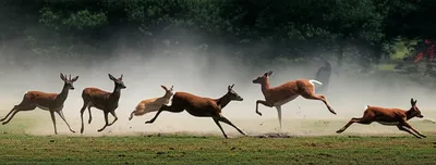 Illustration drive - Image 1