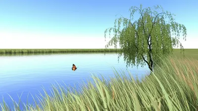 Illustration calms - Image 1