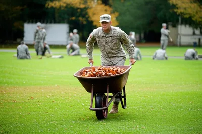 Illustration yardbird - Image 1