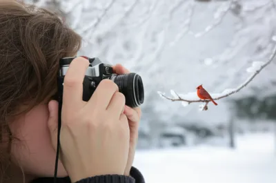 Illustration finder - Image 1