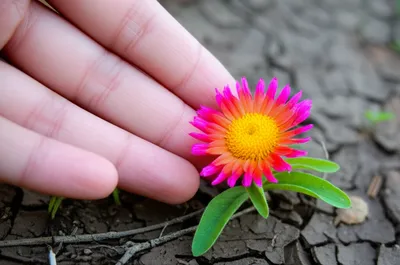 Illustration induces - Image 1