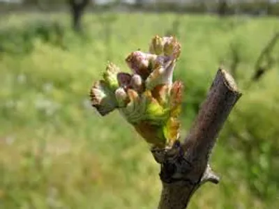 Illustration break - Image 5