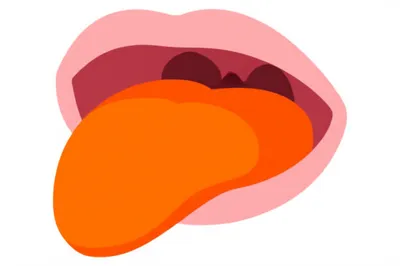 Illustration retroflex - Image 1