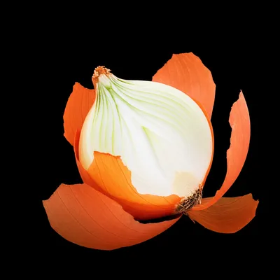 Illustration undress - Image 1