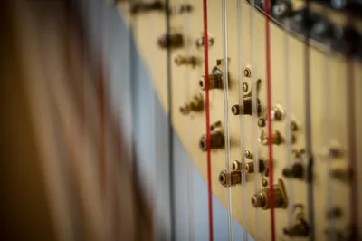 Illustration sinews - Image 1