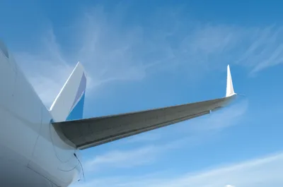 Illustration tails - Image 1