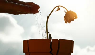 Illustration graces - Image 1