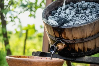 Illustration leach - Image 1