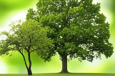 Illustration subsidiary - Image 1