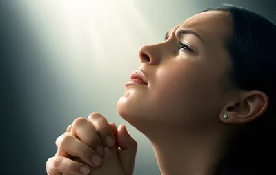 Illustration plea - Image 1