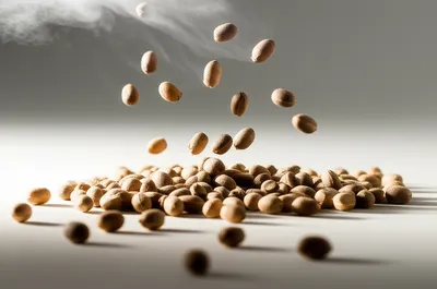 Illustration lot - Image 1