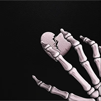 Illustration gnawing - Image 1