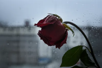 Illustration sadly - Image 1