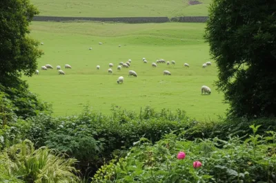 Illustration haha - Image 1