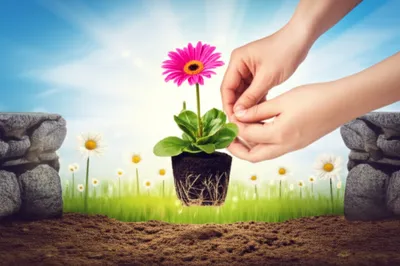 Illustration raising - Image 1