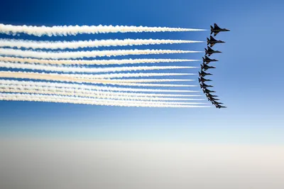 Illustration sortie - Image 1