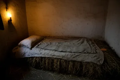 Illustration pallet - Image 1