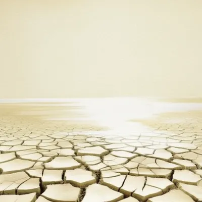 Illustration finos - Image 1