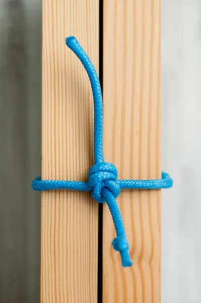 Illustration seizing - Image 1