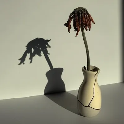 Illustration traumas - Image 1