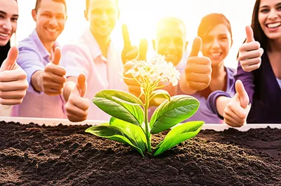 Illustration approves - Image 1