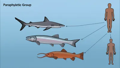 Illustration fish - Image 1