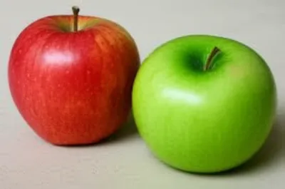 Illustration comparisons - Image 1