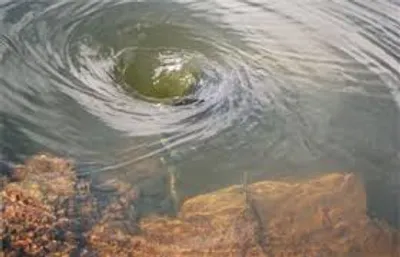 Illustration eddy - Image 2