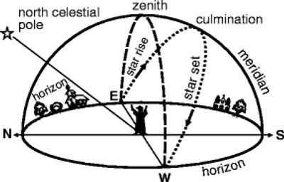 Illustration culmination - Image 2