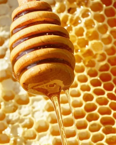 Illustration extracts