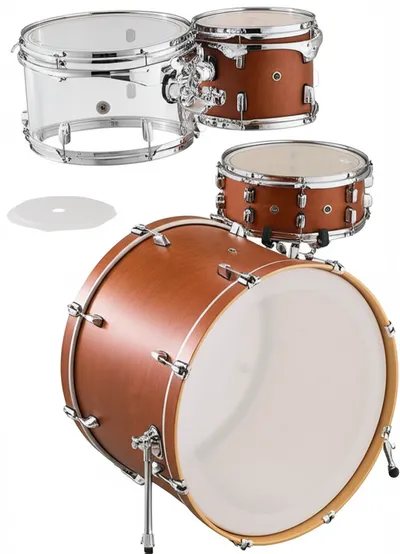 Illustration shells - Image 1