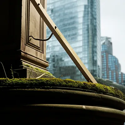 Illustration legacy - Image 1