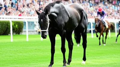 Illustration compound - Image 1