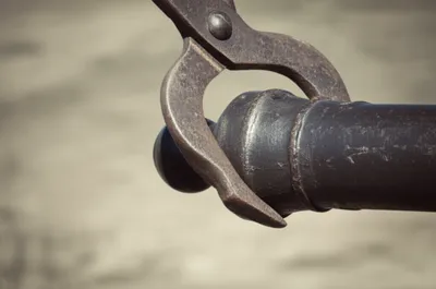 Illustration napoleon - Image 1