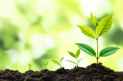 Illustration getting - Image 1